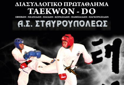 αφίσα, Διασυλλογικό Πρωτάθλημα Taekwon-Do