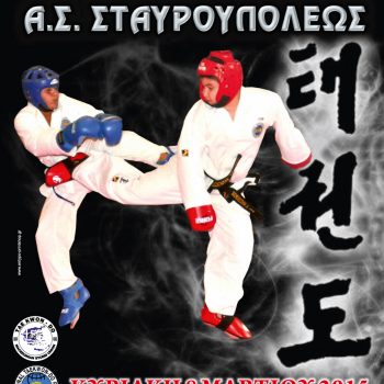 αφίσα, Διασυλλογικό Πρωτάθλημα Taekwon-Do