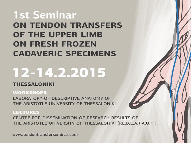 1st Seminar of Upper Limb Tendon Transfer poster