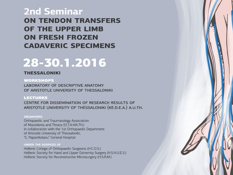 2nd Seminar of Upper Limb Tendon Transfer poster