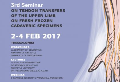 3nd Seminar of Upper Limb Tendon Transfer