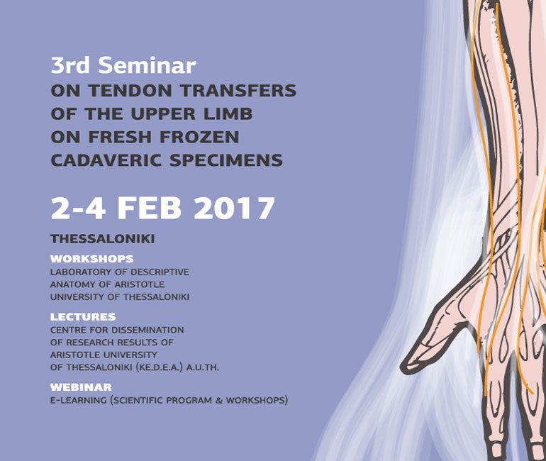 3nd Seminar of Upper Limb Tendon Transfer